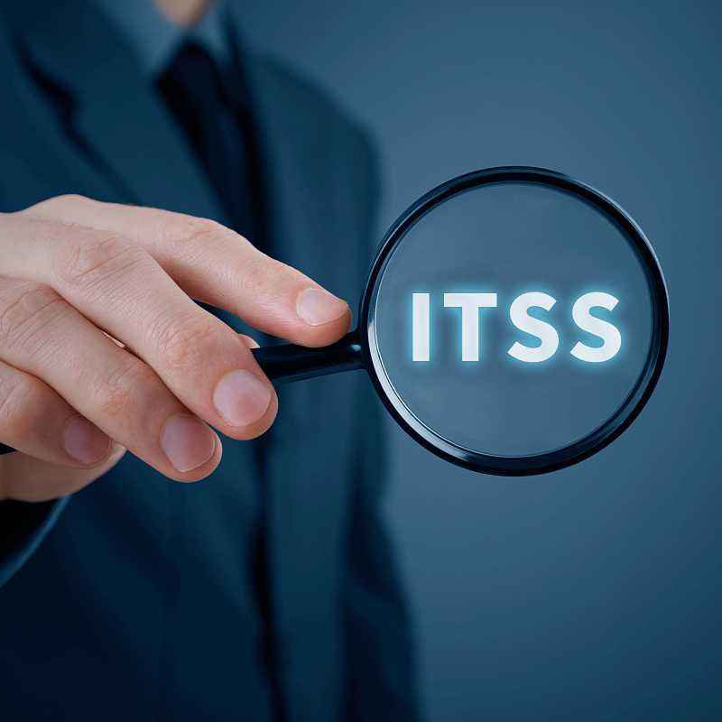 2019年信息技術服務標準（ITSS)評估時間及評估安排