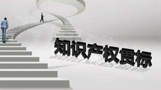 企業實行知識產權貫標后 作用竟有這么大！